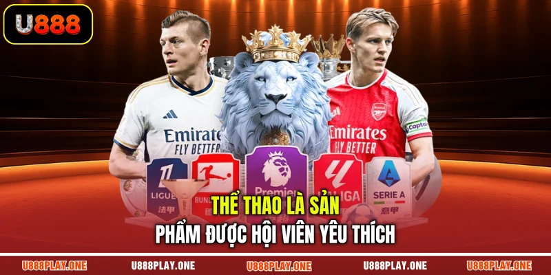 Thể thao là sản phẩm được hội viên yêu thích